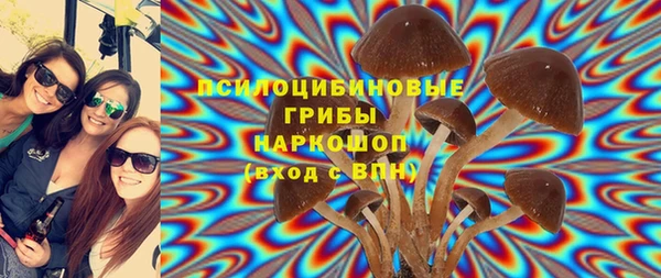 метадон Абаза